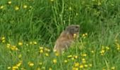 Tour Wandern Praz-sur-Arly - Praz sur arly ban rouge  1050m 18.7kms  - Photo 2