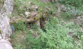 Trail Walking Saint-Remèze - Cacade de Pissevielle St Remeze - Photo 13