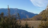 Tocht Stappen La Roche-sur-le-Buis - la montagne de Banne  - Photo 16