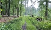 Tocht Stappen Kortenberg - Everberg 10,8 km - Photo 6