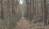 Trail Walking Lommel - A la découverte de Lommel  - Photo 10