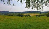 Tocht Stappen Gedinne - Balade à Gedinne - Photo 15