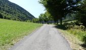 Randonnée Marche Châtillon-en-Diois - La Montagnette par le Pas de la Plane (Combau) - Photo 13