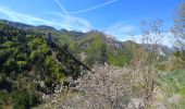 Trail Walking Esparron - 20190507_Espréaux_Tête des Quarante - Photo 4