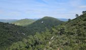 Trail Walking Nans-les-Pins - De Nans les pins vers les sources de l'Huveaune - Photo 14