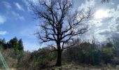 Trail Walking Saint-Laurent-le-Minier - Saint Laurent le minier Pic d’Anjeau - Photo 4