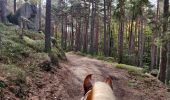 Trail Horseback riding Gresswiller - SityTrail - 2020-10-13 Rando CVA Gresswiller Hohwald - Photo 1