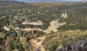 Tour Wandern Méjannes-le-Clap - Mejannes le clap par Rocher de l'Aigle - Photo 5