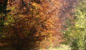 Tocht Te voet Blaustein - Nebenweg des Schwäbischen Albvereins (rote Gabel) - Photo 3