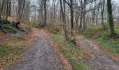 Tour Wandern Jemeppe-sur-Sambre - Spy 191224 - Photo 12