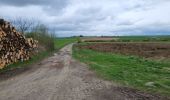 Trail Walking Ciney - Chapois 150425 - Photo 12