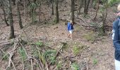 Tour Wandern Collobrières - Collobriéres. Sommet de l'Argentière  - Photo 7