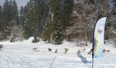 Trail Snowshoes Villard-de-Lans - meaudre le bas - Photo 2