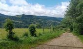 Excursión Marcha nórdica La Bourboule - la Bourboule banne dordanche  - Photo 7