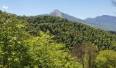 Excursión Senderismo Milhas - Rocher de Pène Nère (tentative...) - Photo 1