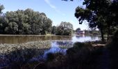 Randonnée Marche Cléré-sur-Layon - Clere sur Layon - Photo 1