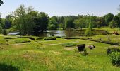 Tocht Noords wandelen Viroinval - Nismes - Photo 1