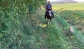 Trail Horseback riding Francheville - Chez pat à l’étang toul Tivio  - Photo 4