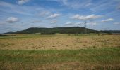 Tour Zu Fuß Berngau - Berngauer Südschlaufe - Photo 3