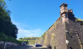 Excursión Senderismo Offemont - Etang des Forges - Forts de la Miotte et de la Justice - Citadèle et Vieille ville de Belfort - Photo 14