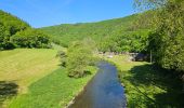 Tour Wandern Goesdorf - Goebelsmühle - Bourscheid - Dirbach - Photo 1