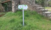 Tour Wandern Grimaud - Grimaud - Sentier de la calade - Photo 13