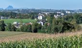 Percorso A piedi Rohr im Kremstal - Neukematner Rundwanderweg - Photo 8