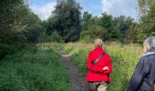 Tocht Stappen Tongeren - tongres - Photo 12