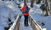 Tour Schneeschuhwandern Méolans-Revel - EMBRUN JOUR 5 : Valon du Lavercq - Photo 14