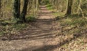 Trail Walking Mons - Bois d'Havré - Chapelle du Bon Vouloir - Photo 3