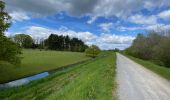 Trail Walking Zoutleeuw - S-GR Hageland : Terhagen - Diest - Photo 20
