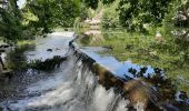 Tocht Stappen Poitiers - Poitiers intra-muros  - Photo 14