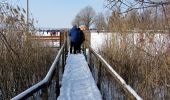 Tocht Te voet Wetzikon (ZH) - Oberwetzikon - Pfäffikon - Photo 5