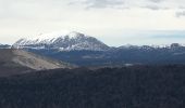 Percorso Marcia Vassieux-en-Vercors - But St Genis - Photo 2