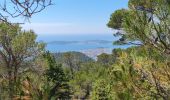 Tocht Stappen Toulon - m'ont faron - Photo 1