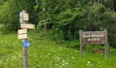 Trail Walking Arâches-la-Frasse - Carroz les Grangettes pra rôti - Photo 2