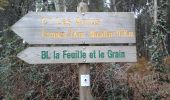 Trail On foot Toulenne - De Ville en Vignes - Photo 1