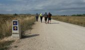 Trail Walking Castrojeriz - Boadiĺla del Camino - Photo 3