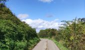 Randonnée Marche Incourt - Promenade du Tumulus (6,1km)  - Photo 20