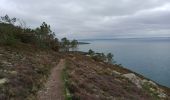 Trail Walking Telgruc-sur-Mer - TELGRUC - Photo 11