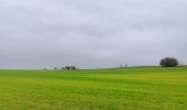 Trail Walking Bassenge - entre Wonck et Eben-Eser - Photo 8
