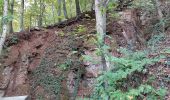 Tour Zu Fuß Tieschen - Weinbergweg - Photo 3