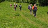 Excursión Senderismo Saint-Urcize - St urcize - Photo 2