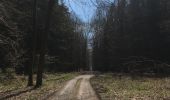 Trail Walking Viroinval - Oignons Ry - Photo 2
