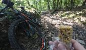 Tocht Mountainbike Chimay - Baileux - Couvin - Ry de Rome - Regniessart - 65km  : 1250 - Photo 9