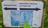 Trail Walking Bad Peterstal-Griesbach - Buhlbachsee & Lotharpfad - Photo 8