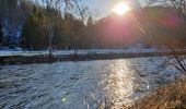 Trail Walking Houyet - Houyet - Domaine Royal & Golf - Photo 4