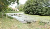 Randonnée Vélo électrique Renaix - Renaix - Berchem - Domaine de Ghellinck - Golf des Ardennes flamandes - Photo 9