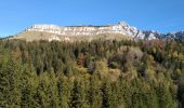 Tocht Stappen Villard-de-Lans - VILLARD VALLON DE LA FAUGE - Photo 2