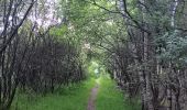 Trail Walking Spa - berinzenne fleurie - Photo 11